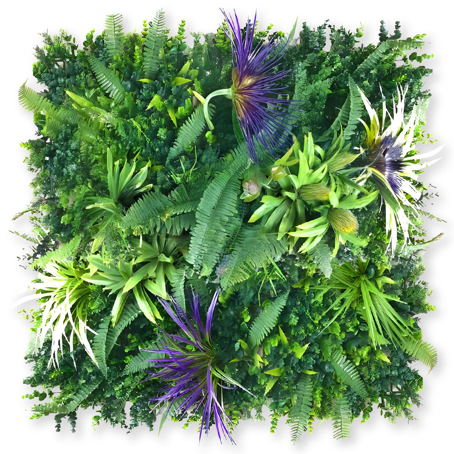 Green Wall Plastic Grass Panel – Lush Artificial Garden For Indoor & Outdoor Décor - Tropical Garden